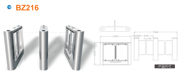 台州摆闸BZ216