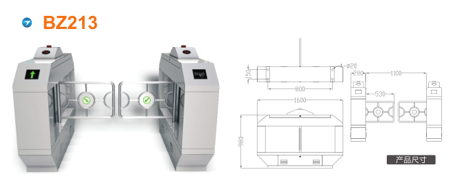 台州摆闸BZ213